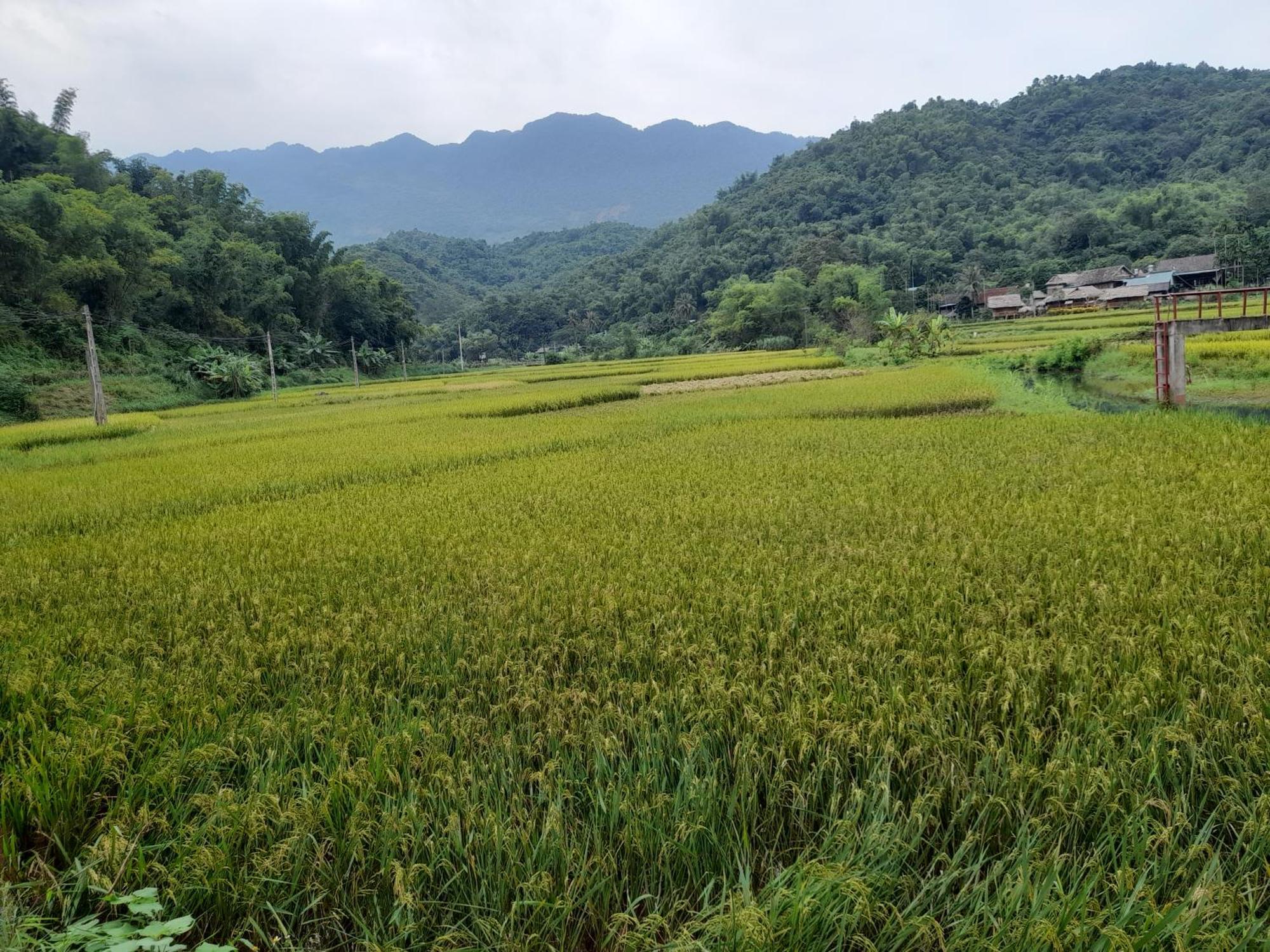 Thao Ly Homestay Mai Chau Hòa Bình Zewnętrze zdjęcie