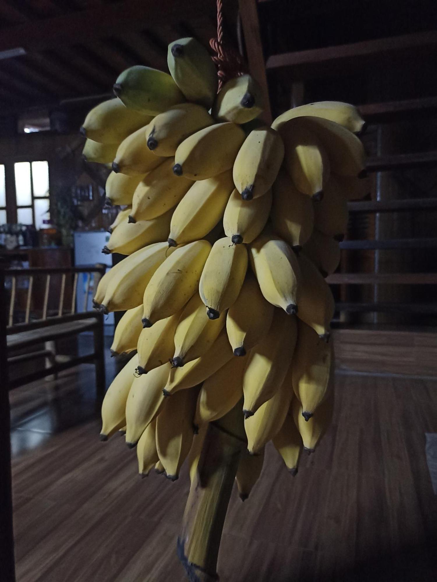 Thao Ly Homestay Mai Chau Hòa Bình Zewnętrze zdjęcie