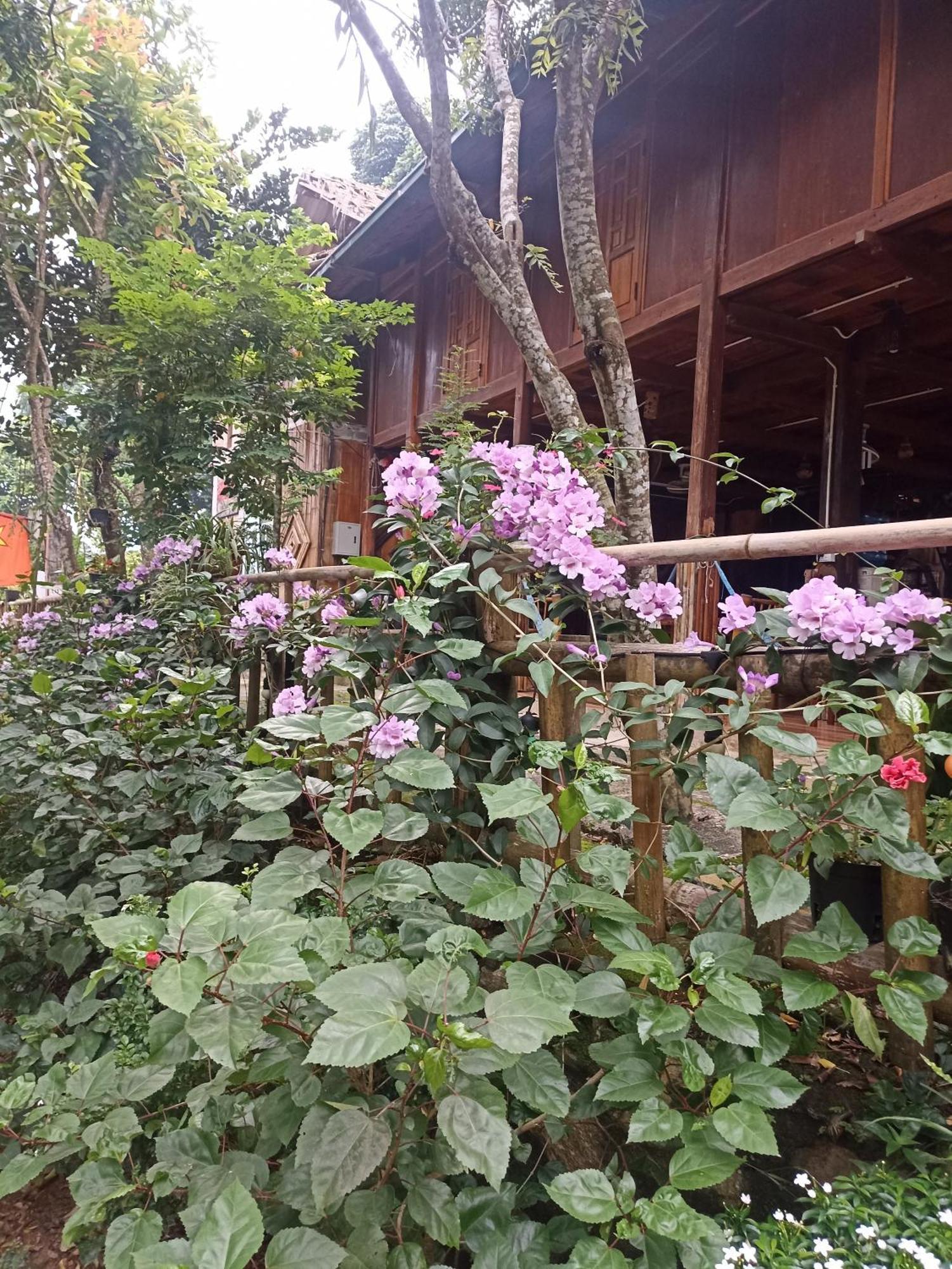 Thao Ly Homestay Mai Chau Hòa Bình Zewnętrze zdjęcie