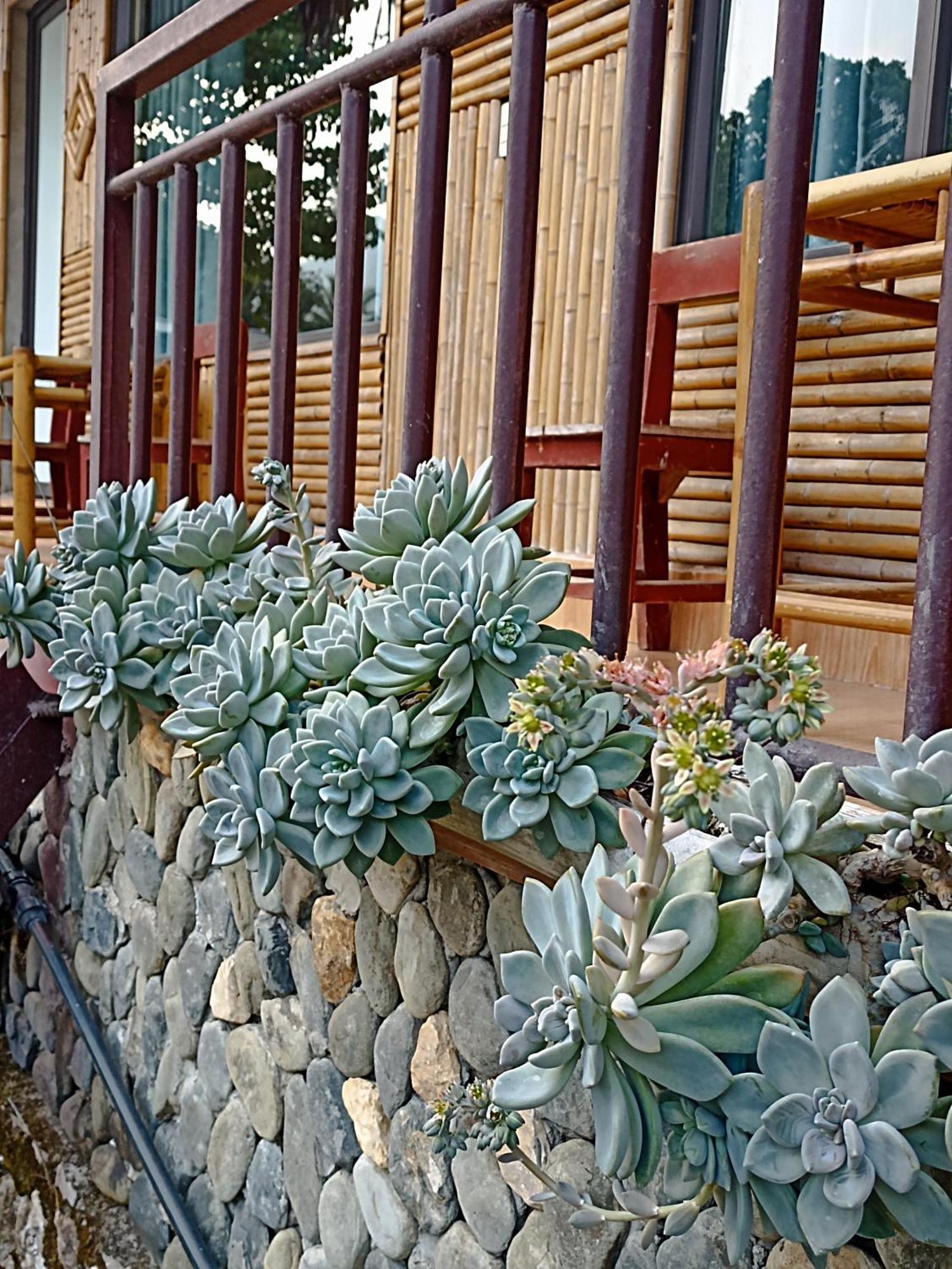 Thao Ly Homestay Mai Chau Hòa Bình Zewnętrze zdjęcie
